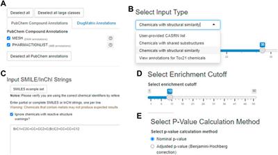 Tox21Enricher-Shiny: an R Shiny application for toxicity functional annotation analysis